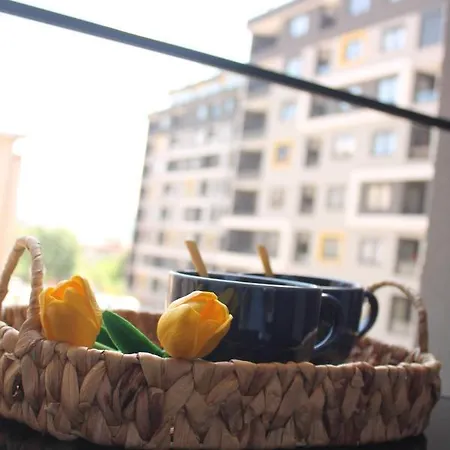 Apartament Six